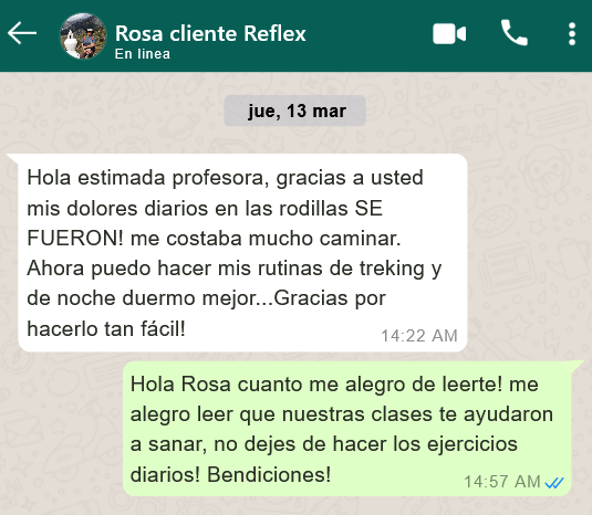 ROSA 2